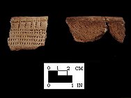 Decorated Moyaone rim sherds from the Kettering Park site 18PR174 /FH2.